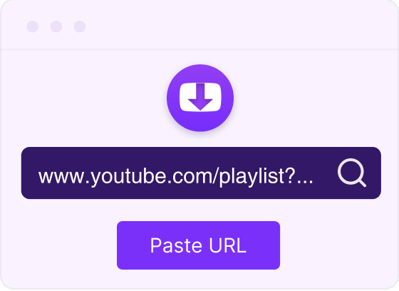Search or Paste the URL